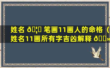 姓名 🦉 笔画11画人的命格（姓名11画所有字吉凶解释 🌻 ）